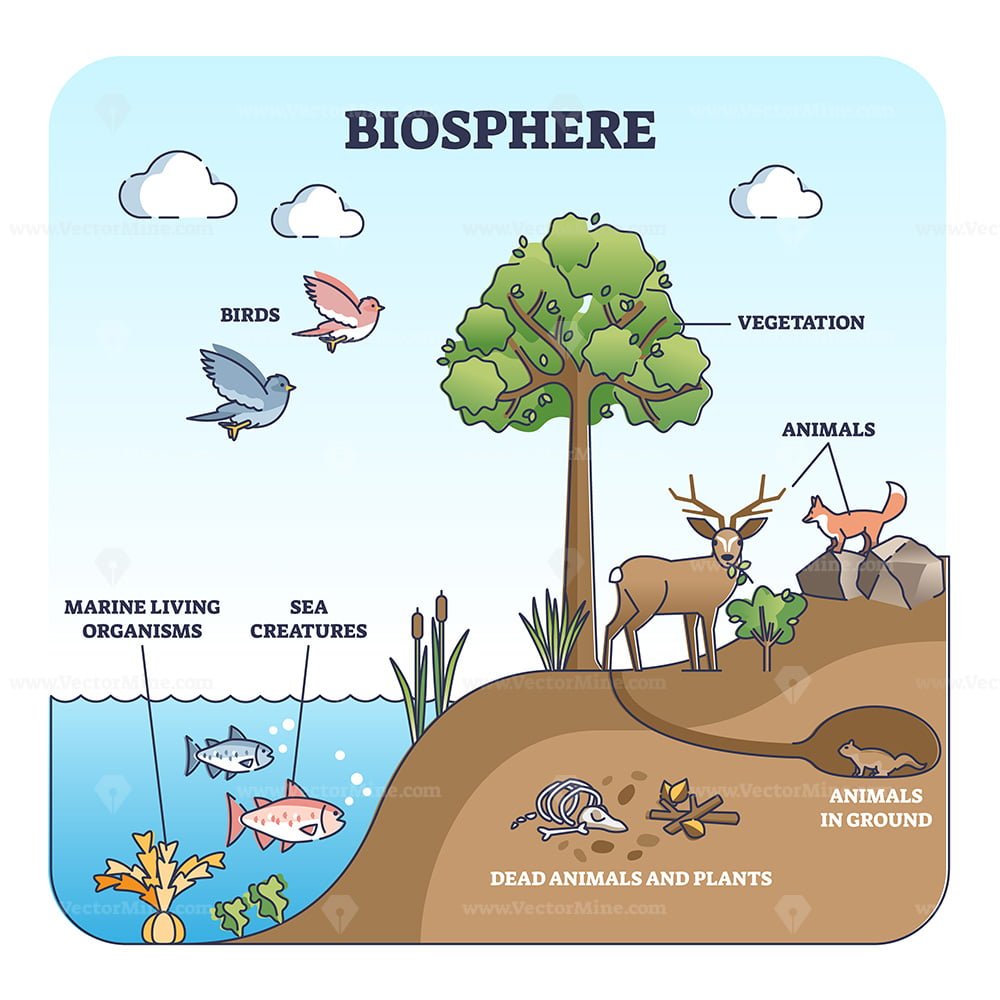 Biosphere and natural habitat division for living creatures outline