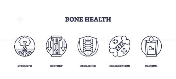 bone health icons outline 1