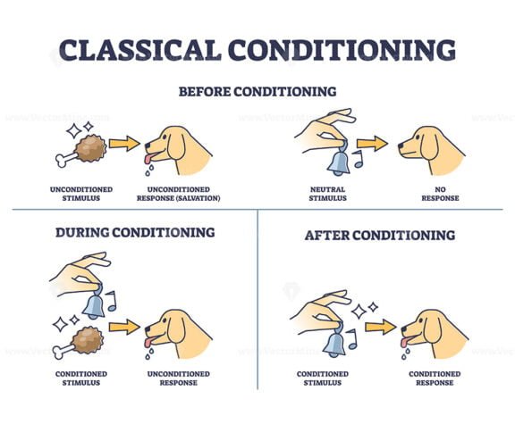 classical conditioning outline diagram 2 1