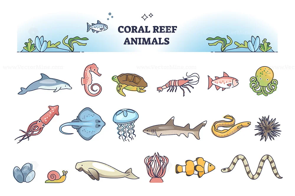 Coral reef animals collection with underwater wildlife elements outline set  – VectorMine