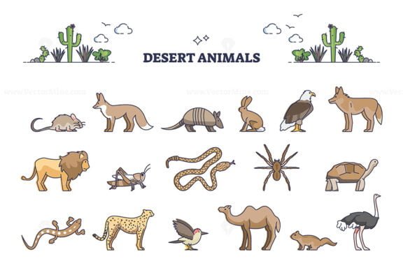 Desert animals collection with hot environment habitat species outline ...