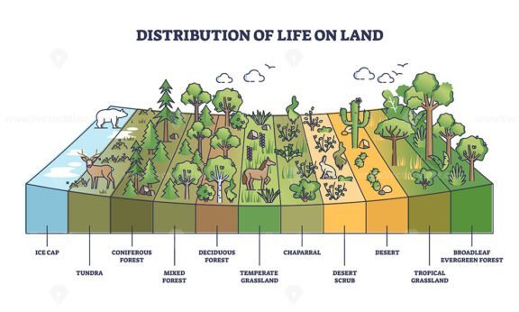 distribution of life on land outline diagram 1