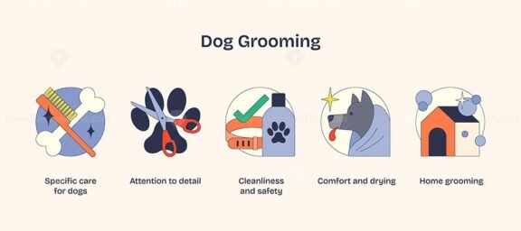 dog grooming neubrutalism icons 1