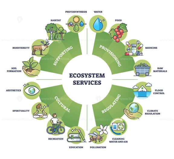 ecosystem services and nature based solutions outline diagram 1