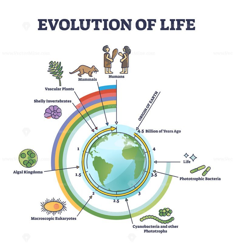 Evolution of life with round timeline for living development outline