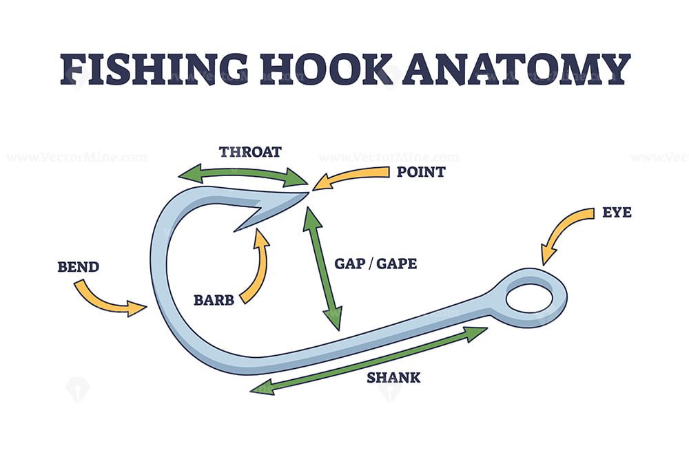 Fishing hook anatomy with fish catching elements description