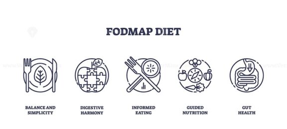 FODMAP diet icons represent balance, digestion, and nutrition with plates, puzzle pieces, and vegetables. Outline icons set