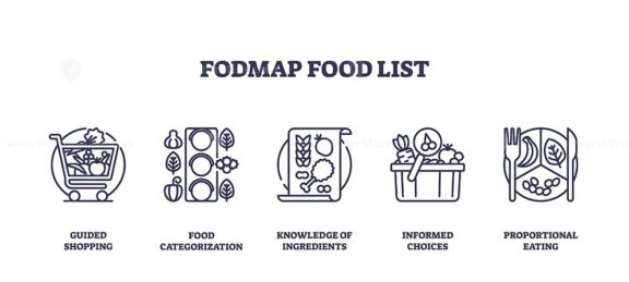 FODMAP food list icons depict food categorization, guided shopping, and informed choices. Outline icons set.