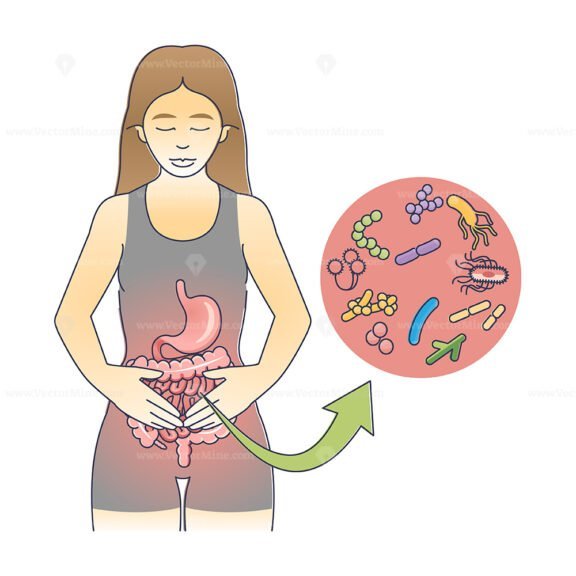 gastroenteritis 2 diagram 1