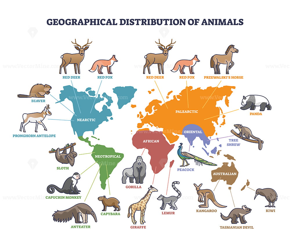 Geographical Distribution Of Wild Animals On World Map Zones Outline 