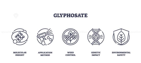 Glyphosate icons outline key concepts like molecular insight, application method, and weed control. Outline icons set