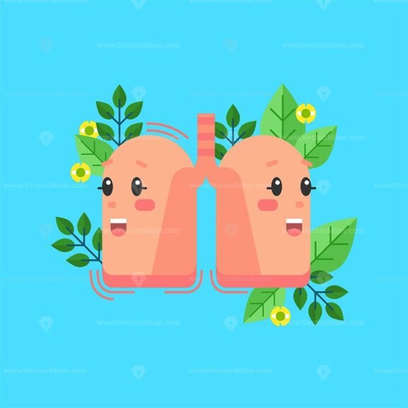 healthy lungs 01