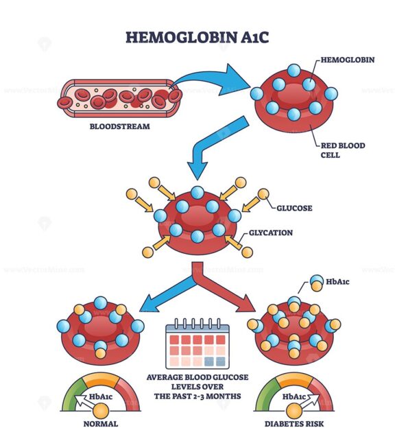 Hemoglobin A1C or HbA1c test for sugar level in bloodstream outline diagram