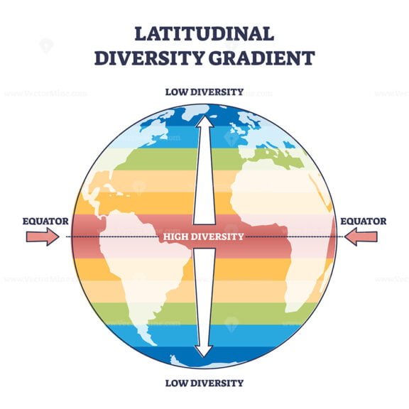 latitudinal diversity gradient outline diagram 1