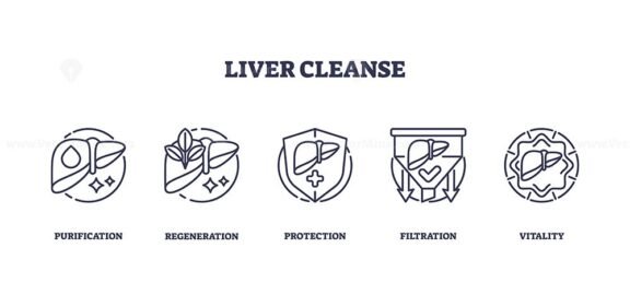 liver cleanse icons outline 1