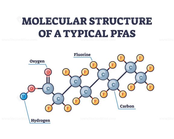 PFAS molecular structure shows carbon-fluorine bonds, illustrating chemical stability. Outline diagram.