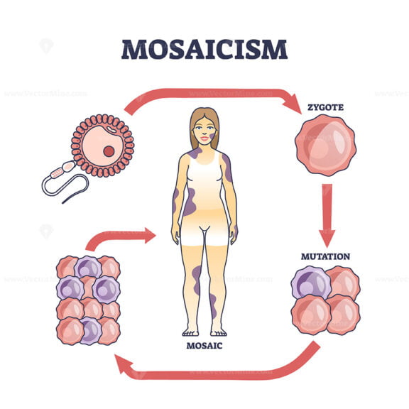 mosaicism outline 1