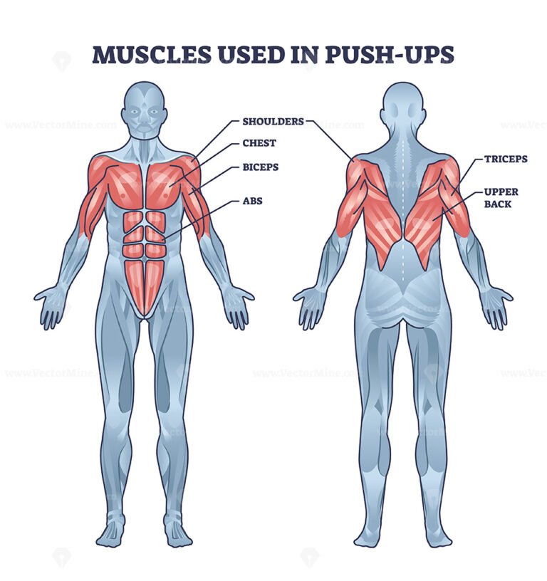 Neck stretches instructions for head and shoulder posture outline ...