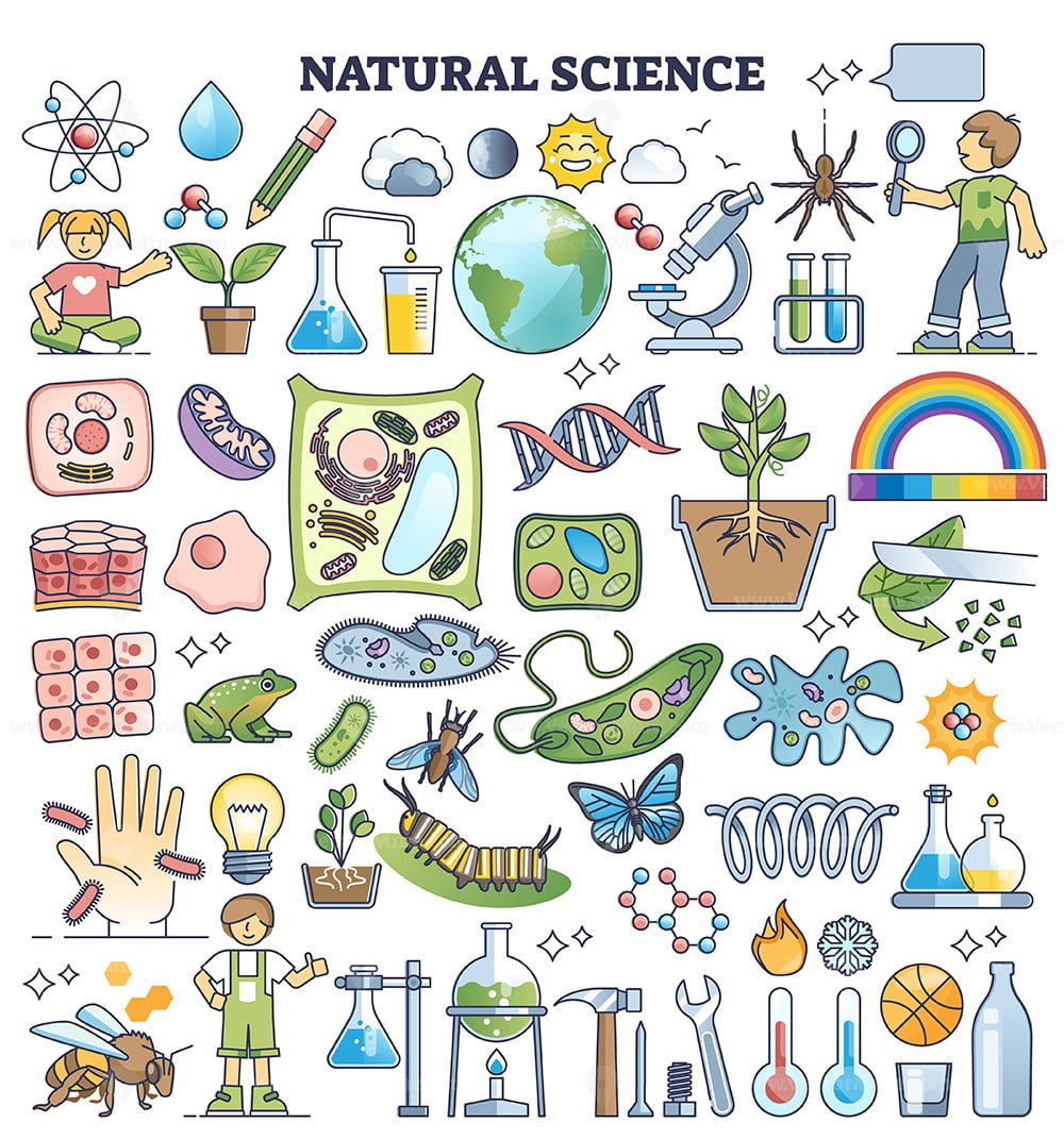 Natural Science Kids Elements With Knowledge Subjects Outline 