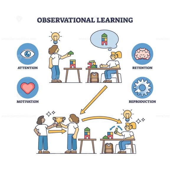 observational learning diagram outline concept 1