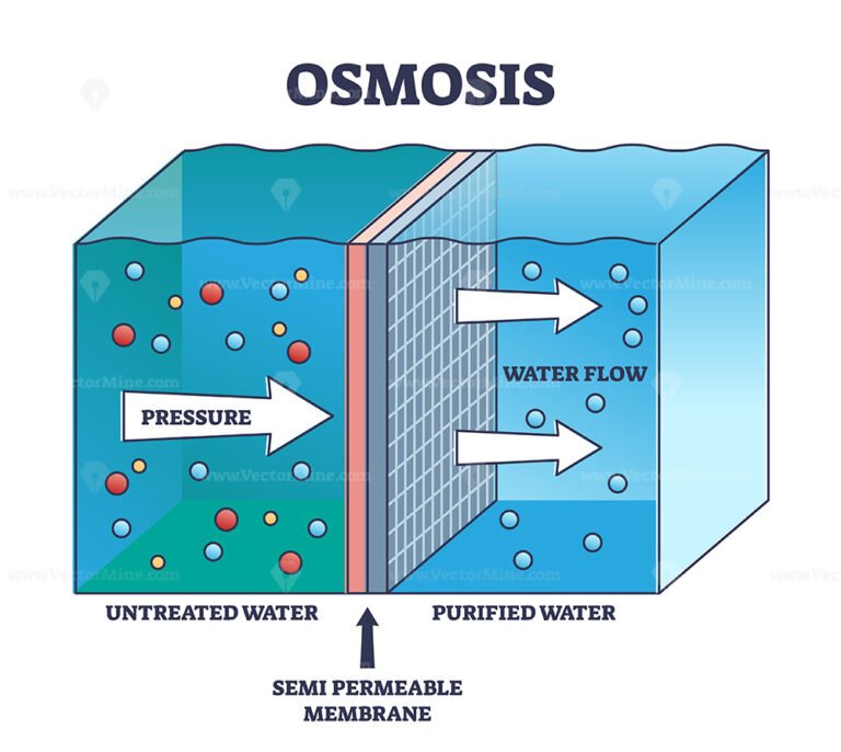 Osmosis process explanation for untreated water purification outline ...