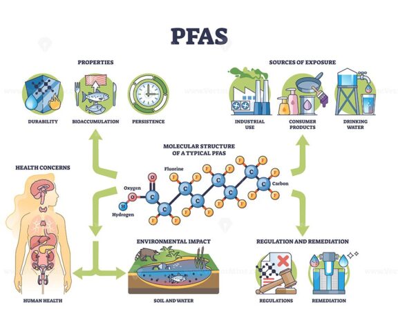 PFAS diagram outlines exposure sources, health concerns, and environmental impact. Key objects, molecular structure, health effects, exposure sources. Outline diagram