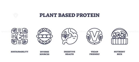 plant based protein icons outline 1