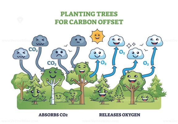 planting trees for carbon offset kid friendly diagram 1