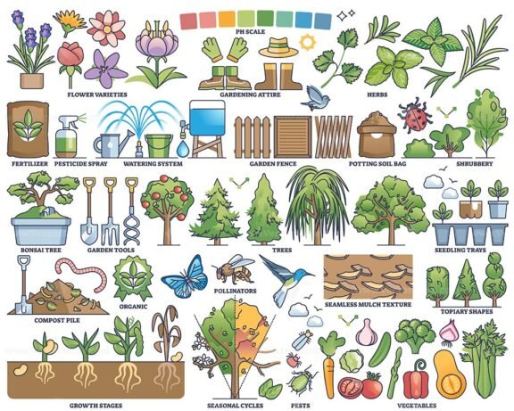 plants and horticulture collection outline 1