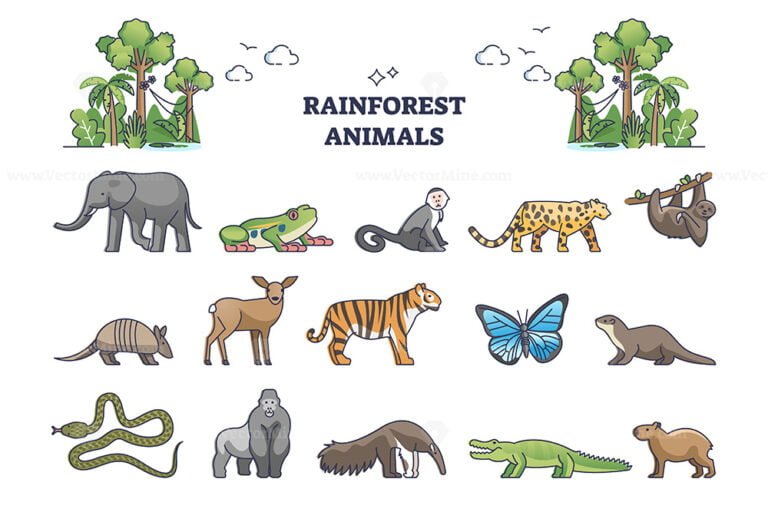 Rainforest jungle wildlife elements with animal fauna outline ...