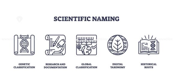 Scientific naming involves genetic classification, research, and global taxonomy. Outline icons set