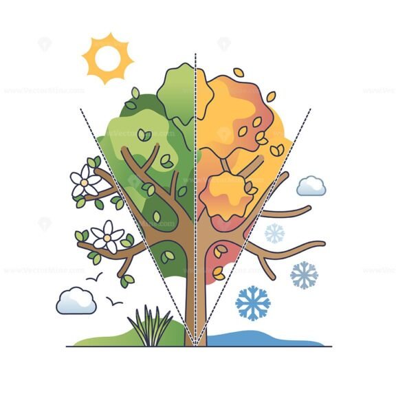 seasonal cycles outline diagram 1