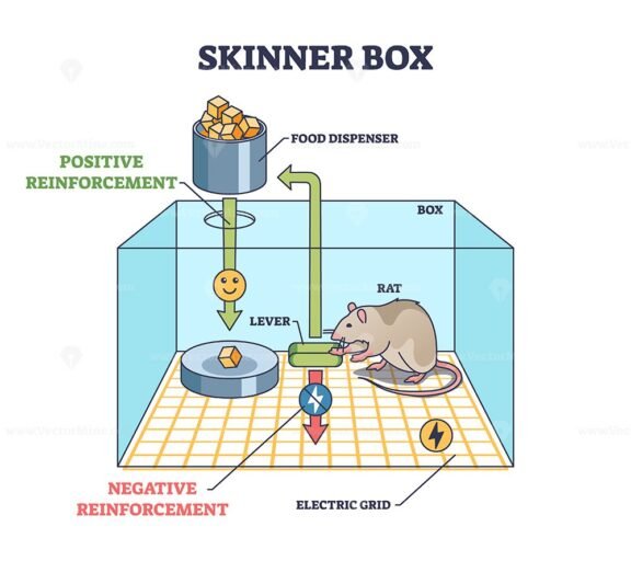 Skinner box and operant conditioning chamber experiment outline diagram