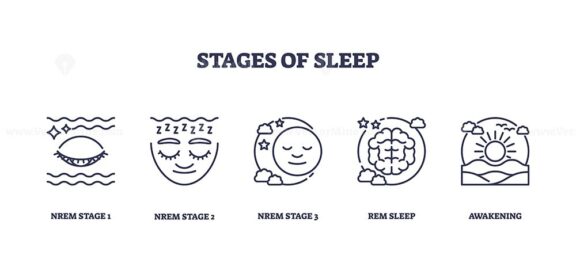 Stages of sleep depicted with icons for NREM and REM phases. Key objects, eye, face, brain. Outline icons set.