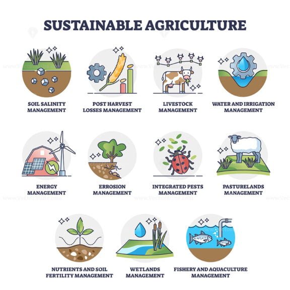 Sustainable Agriculture Set With Eco Harvest Management Outline ...