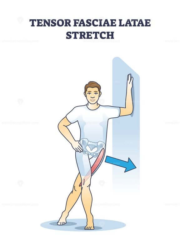 tensor fasciae latae stretch outline 1