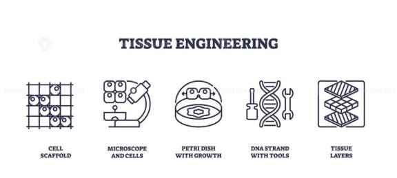 tissue engineering icons outline 1