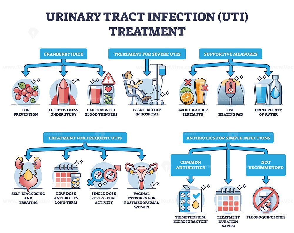 Urinary Tract Infection Or Uti Treatment For Bladder Illness Outline Diagram Vectormine 9466
