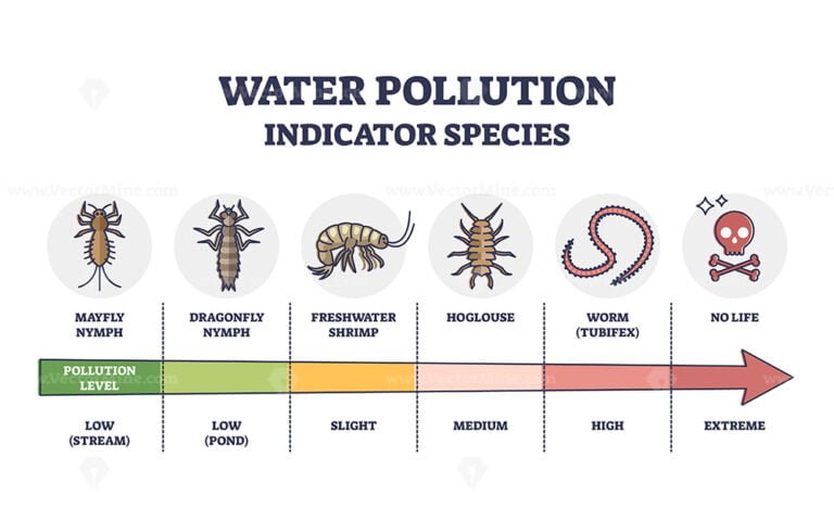 Indicators of Marine Health