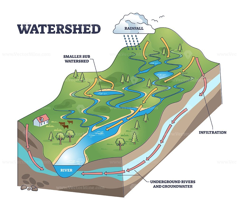 Watershed as water basin system with mountain river streams outline