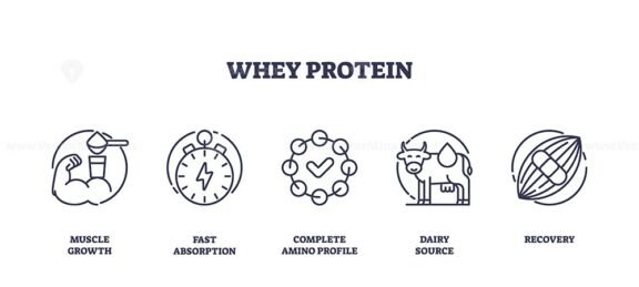 whey protein icons outline 1